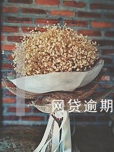 网贷逾期过久还不起 还本金 网贷逾期过久还不起 还本金